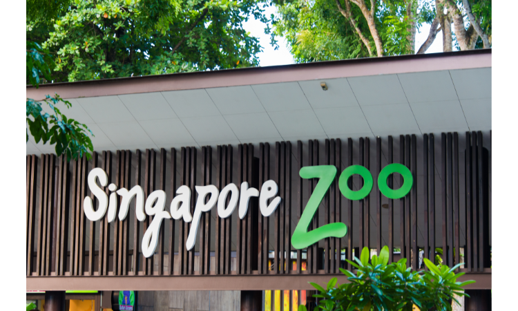 Travel Guide and Things to do in Singapore
