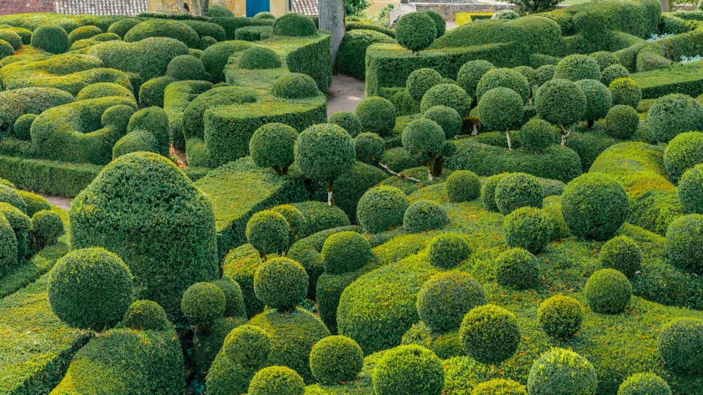 How to Grow a Topiary