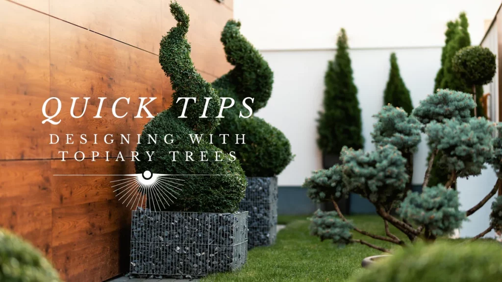 How to Grow a Topiary