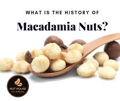 Health Benefits of Macadamia Nuts