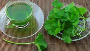 Benefits of Gotu Kola