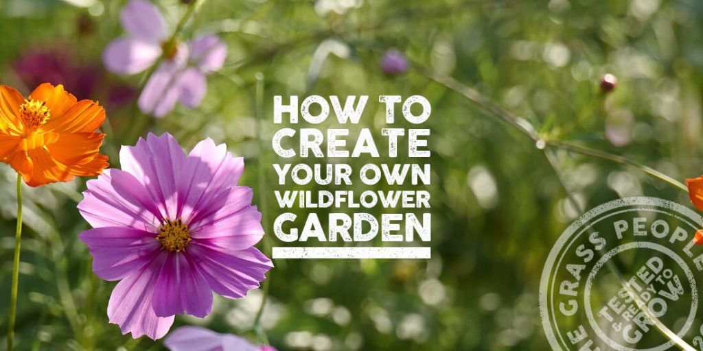 5 Reasons to Plant a Wildflower Garden