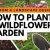 5 Reasons to Plant a Wildflower Garden