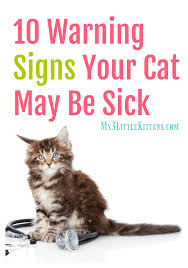 Signs Your Pet is Unwell