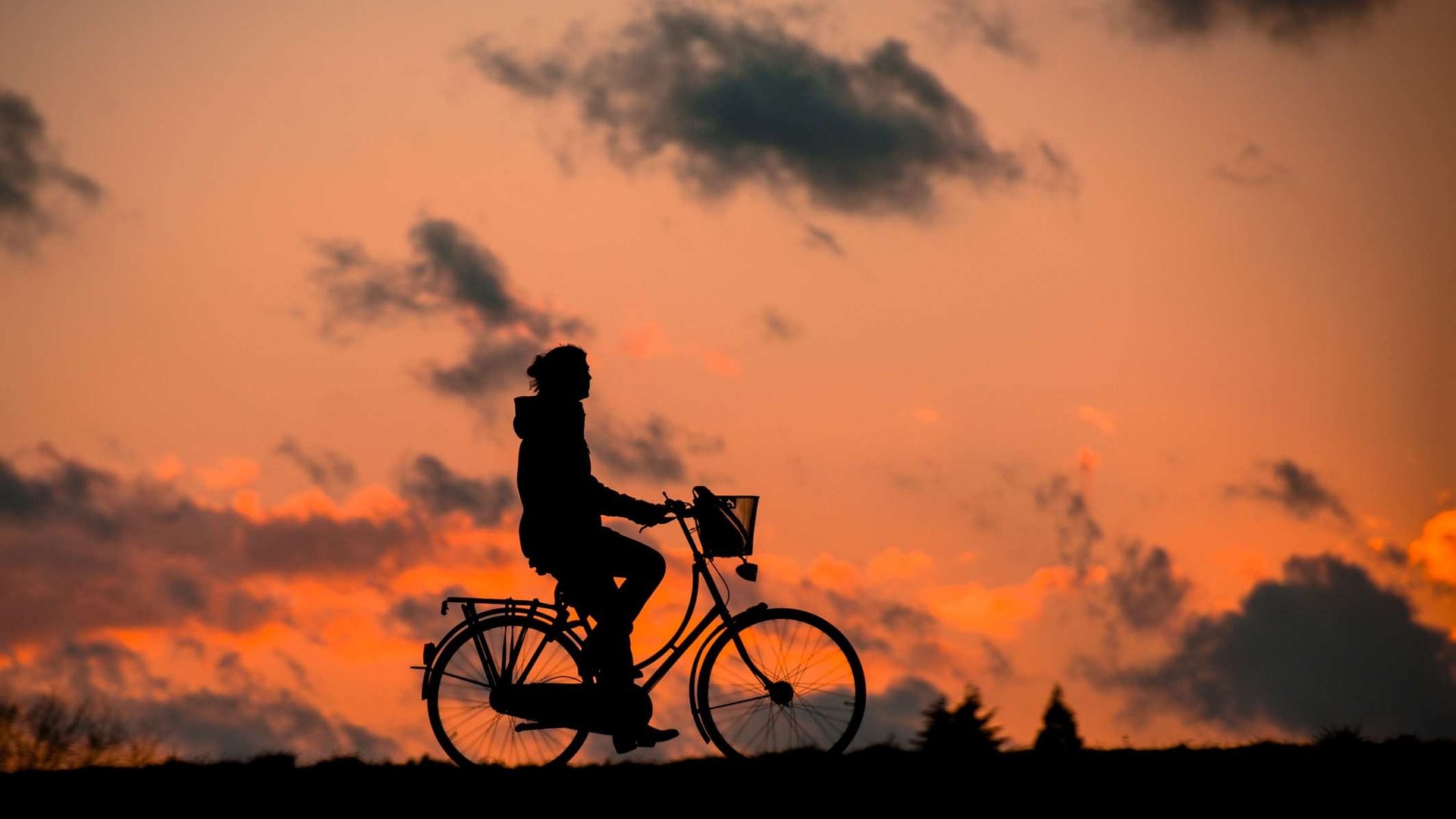 Aalborg Cykeludlejning – Udlejning af cykler