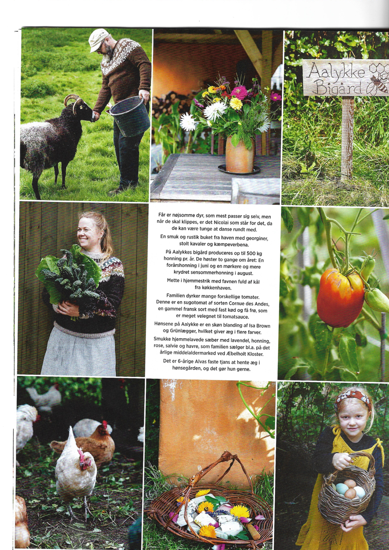 Haveliv artikel 2020 (resize) 5