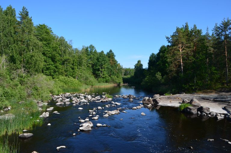 Ekopark Hornsö vatten