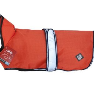2 in 1 Dog Coat - 30 cm / Orange