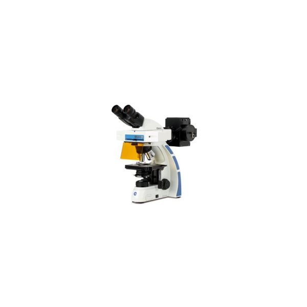 Euromex Oxion Fluorescensmikroskop, Bino, Semiapokromatiskt, 40, 100 Och 400