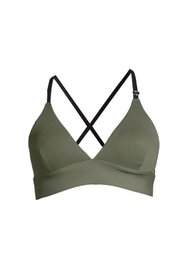 Iconic Bikini Top - Northern Green