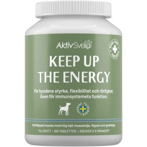 AktivSvea Keep Up The Energy 100 st