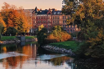 Arborist i Malmö: Möt experterna inom trädvård