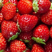 Fraise - 500g