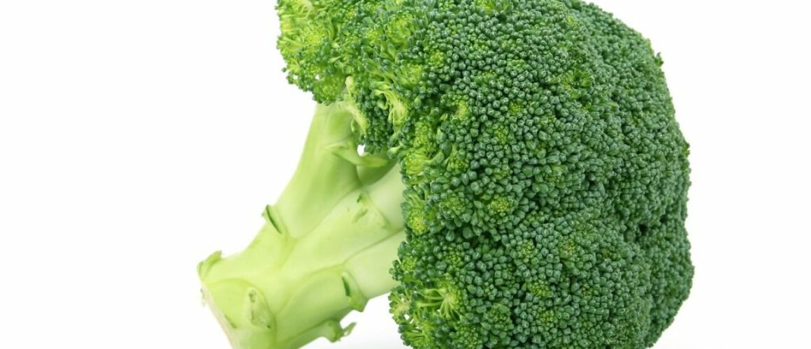 Brocoli AE 1 Pièce