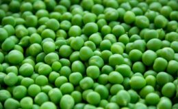 Petit pois AE 500g