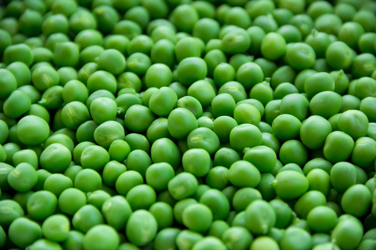 Petit pois