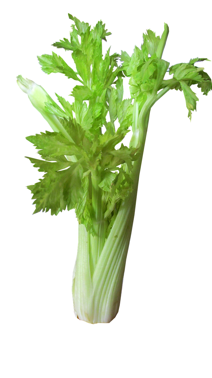 Celeri 1 Botte