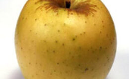 Pomme Golden 1kg