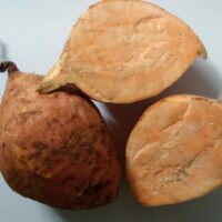 Patate douce (orange) - 1kg