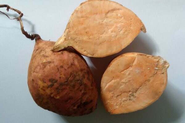 Patate douce (orange) - 1kg