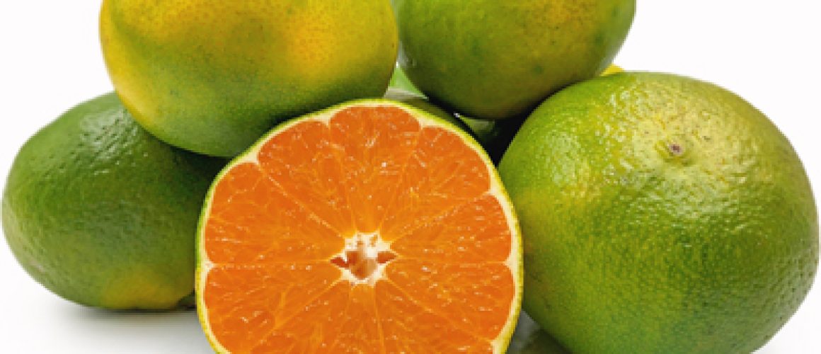 Mandarine verte 1kg