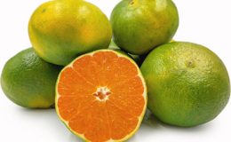 Mandarine verte 1kg