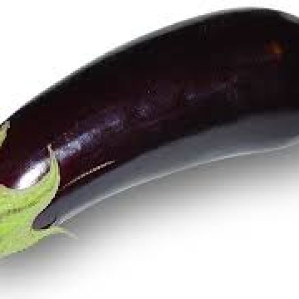 AUBERGINE