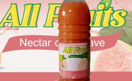 Nectar de goyave - 1 litre (commande à passer avant 12h pour livraison/récupération le lendemain)