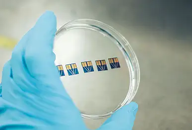 Abselion Secures £1.9M Seed Funding to Launch Protein Analysis Platform