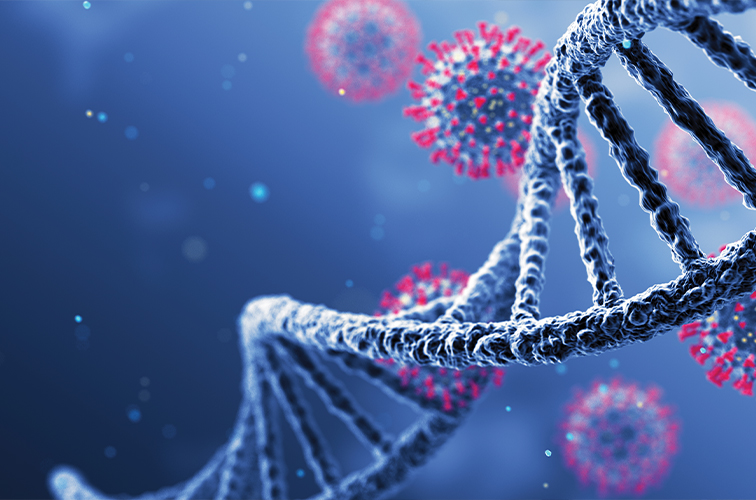 AAV Titration: Why Accurate Quantification Matters for Gene Therapy