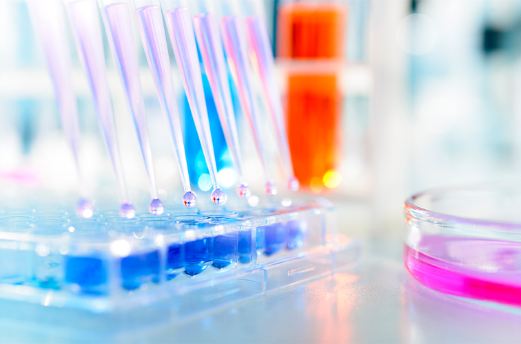 What Is Protein Quantification?