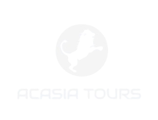 Logo Acasia Tours Phuket White