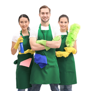 Cleaning Services in Watford