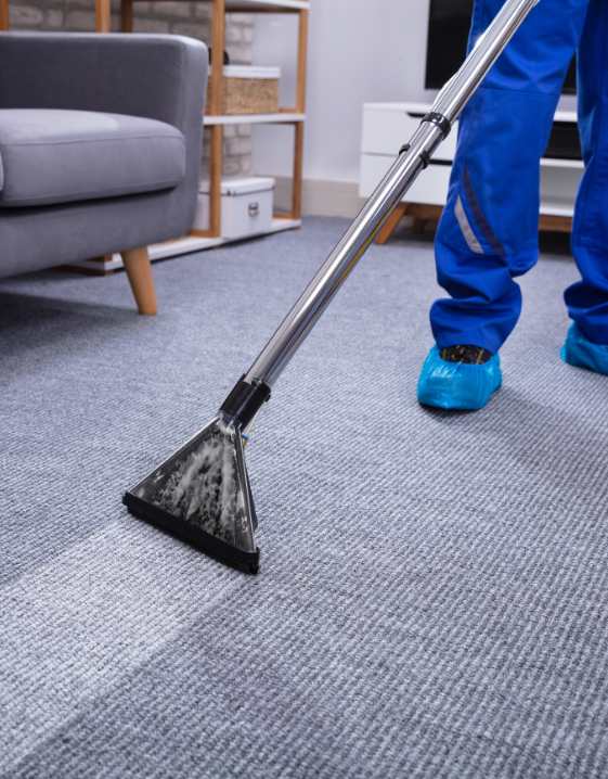 professional carpet cleaning slough