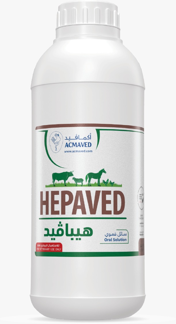 HEPAVED