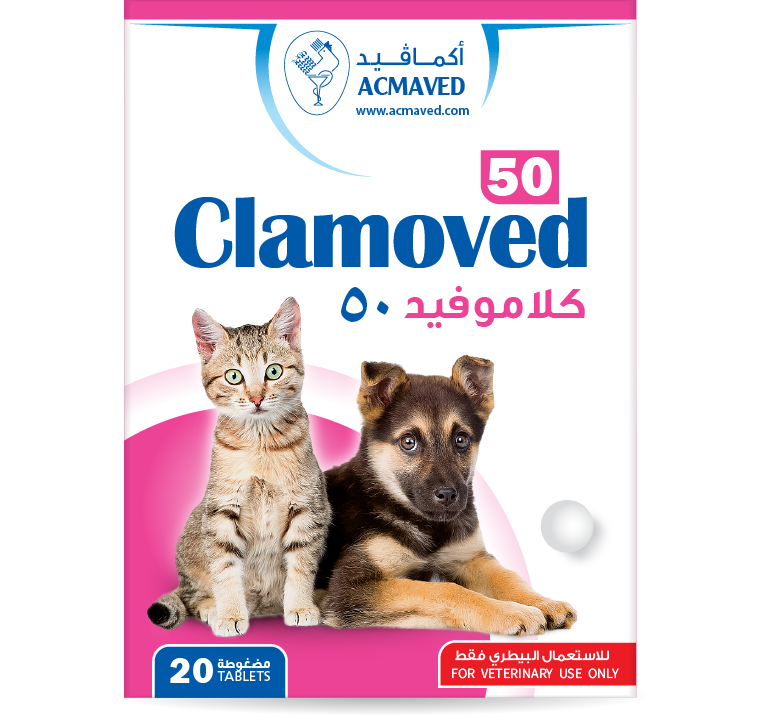 CLAMOVED 50