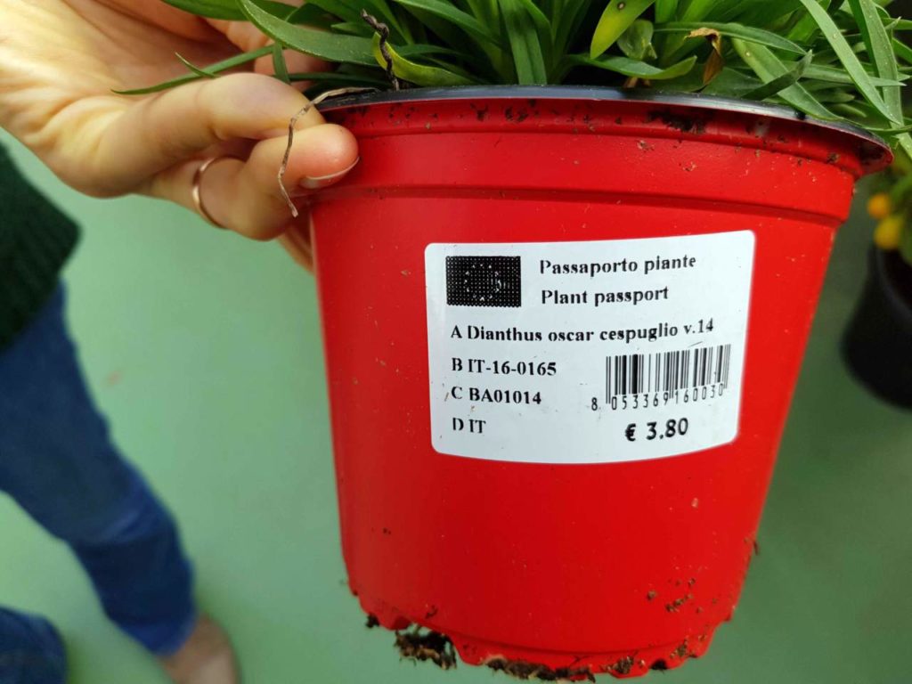 come marcare ed etichettare vasi e piante