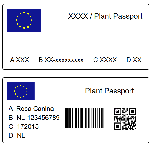 passaporto delle piante