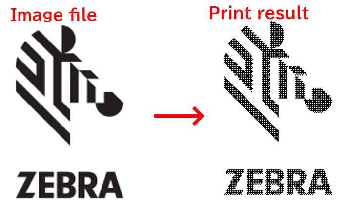 qualità di stampa zebradesigner