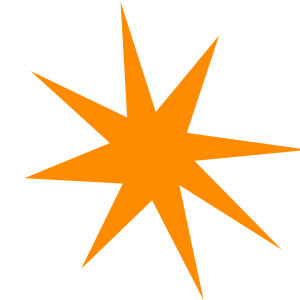 Orange stjerne med 8 skarpe spidser, TSA logo