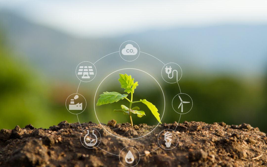ESG and Sustainability with Nature-Based Solutions