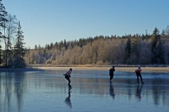 Skridsko på Fläddran 13 december 2015