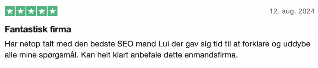 udtalelse af mit online seo kursus