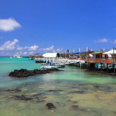 GALAPAGOS ISLAND HOPPING Town - Santa Cruz Port - Ecuador & Galapagos Tours
