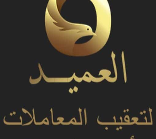 عمل ميزانيات شركات 50608842