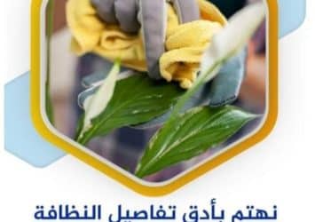 يتوفر عاملات نخبة لخدمة التنظيف و الترتيب