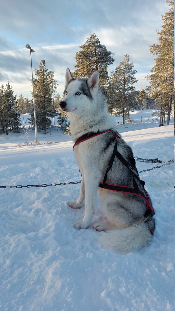 Rocky_3
