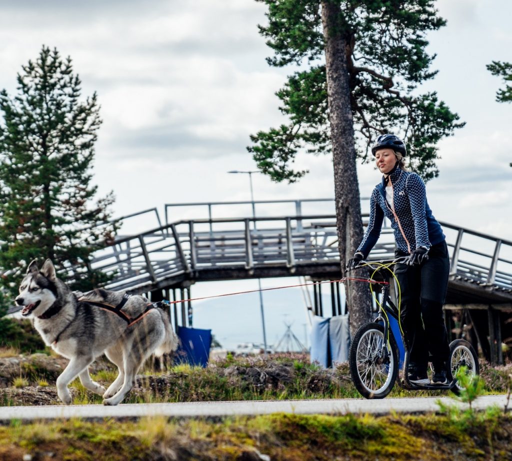 Footbike alina