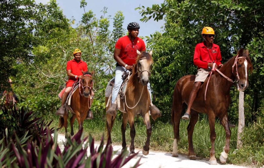 Bavaro Adventure Buggy Ride, Horseback Riding & Waterfall Pool