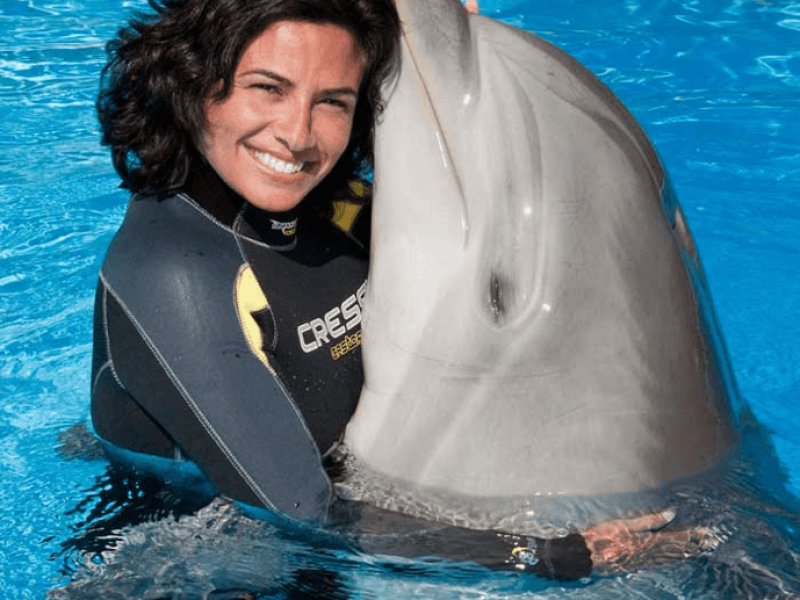 Dolphin Discovery Encounter